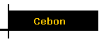 Cebon